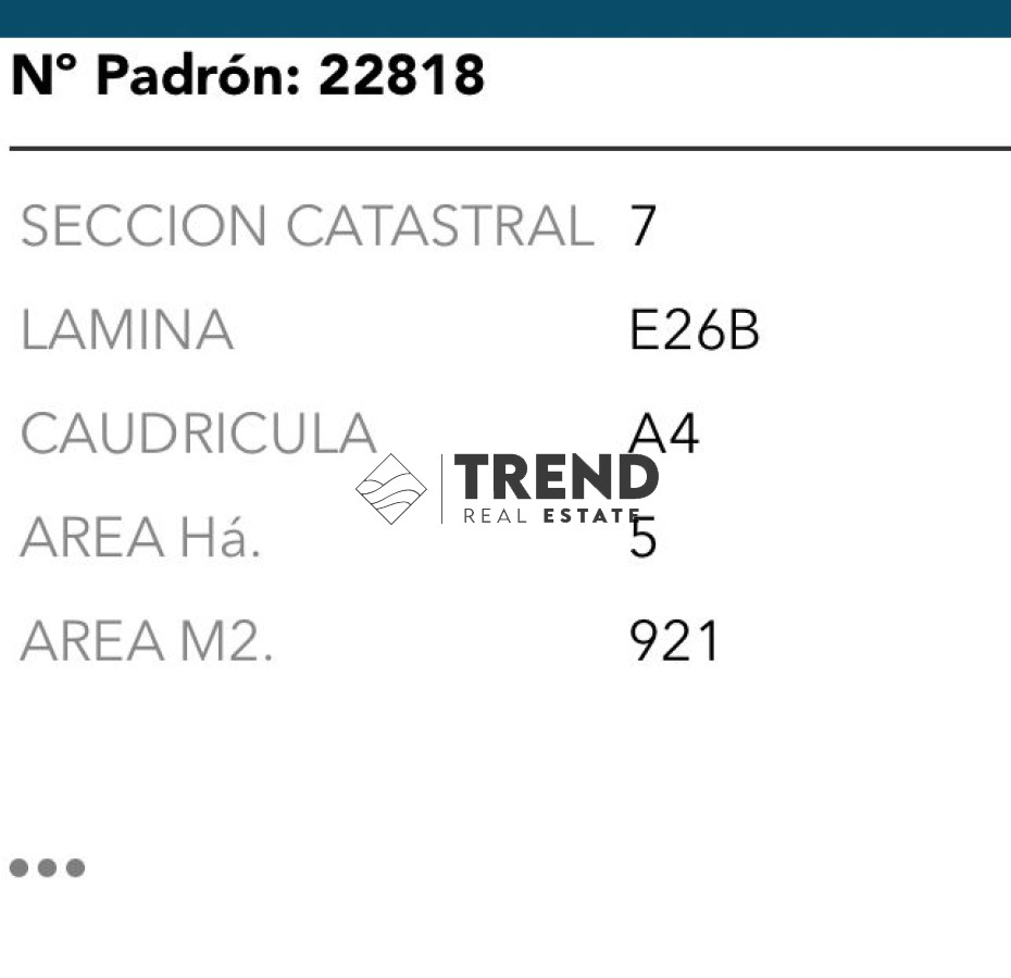 Chacra ID.31 - Espectacular Chacra en Venta en Jose Ignacio