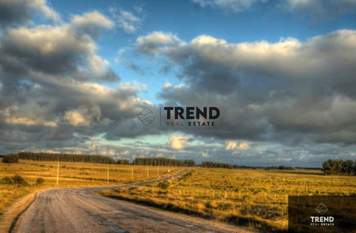 Chacra ID.8 - Campo en venta de 33ha cerca de José Ignacio