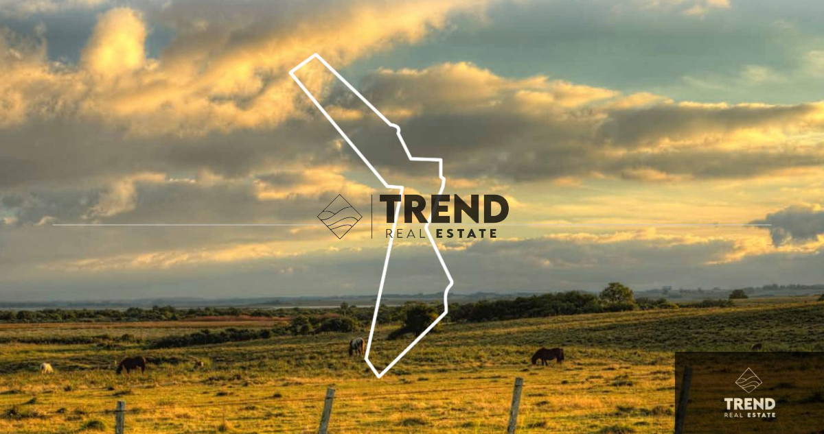 Chacra ID.8 - Campo en venta de 33ha cerca de José Ignacio