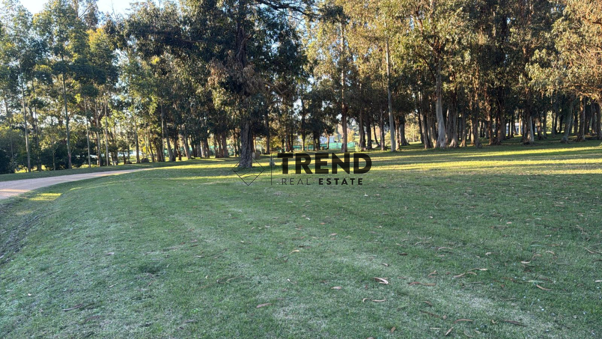 Terreno en venta en El quijote - 5000 metros - TRE66T