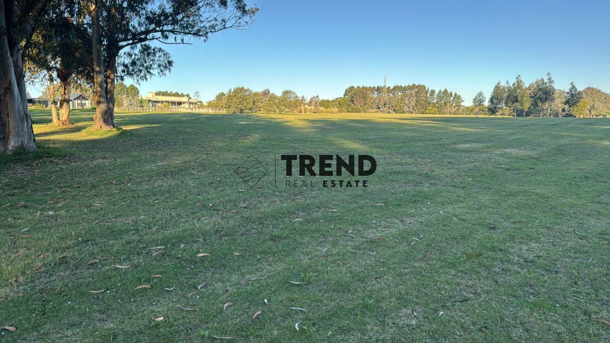 Terreno ID.66 - Terreno en venta en El quijote - 5000 metros