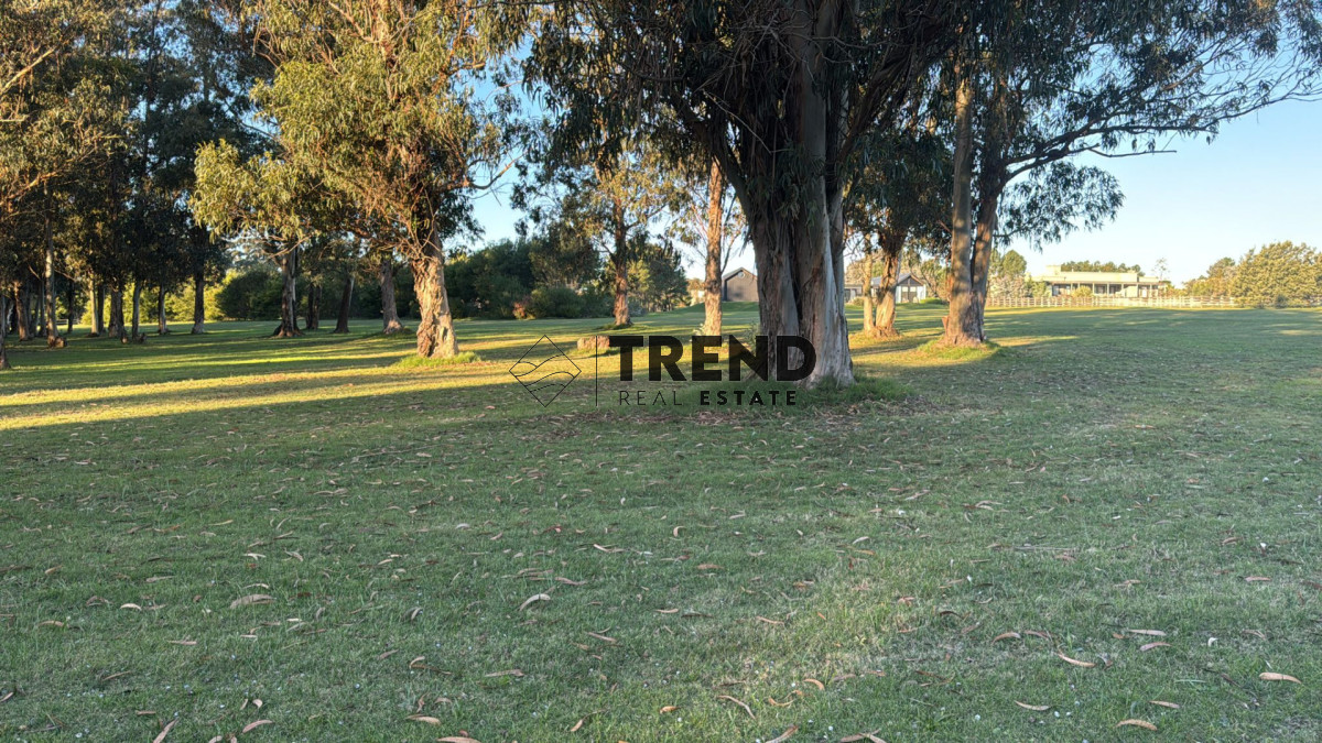 Terreno ID.66 - Terreno en venta en El quijote - 5000 metros