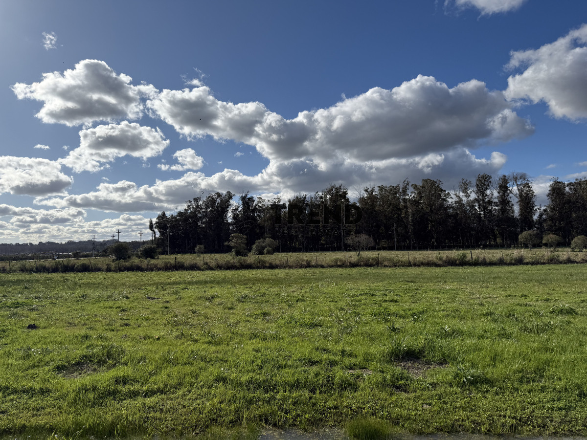 Terreno ID.28 - Terreno de 1500 metros en La barra. Barrio Atardeceres de Eguzquiza