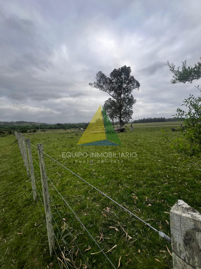 Campo 110 hectáreas en Aiguá - Ref : EQP7901 - EQU7901P