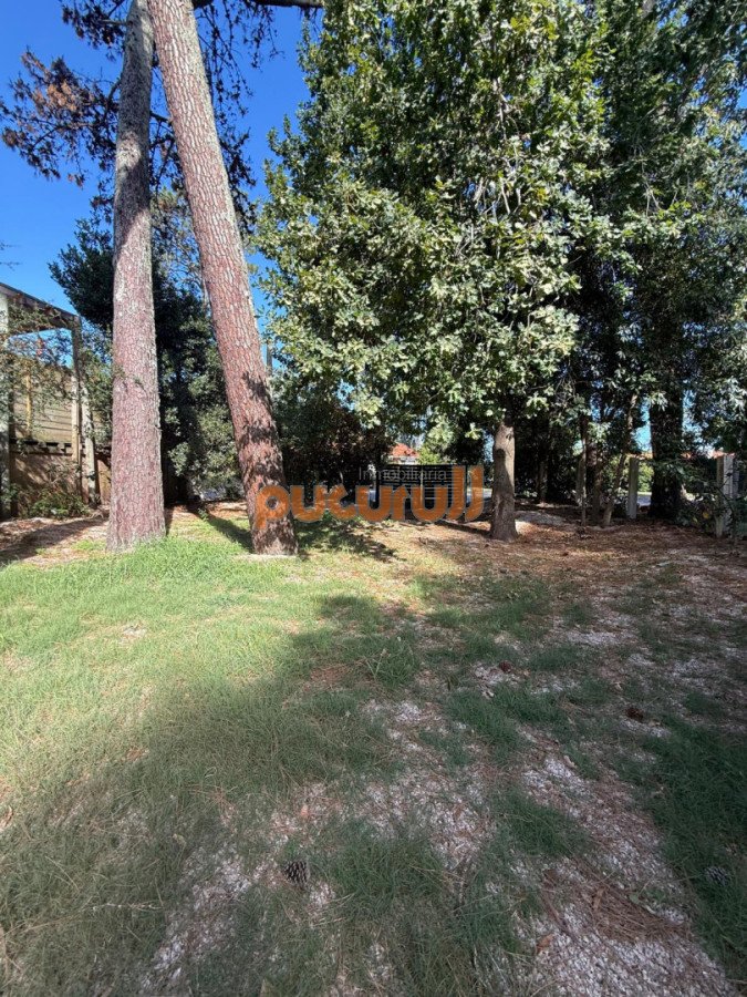 Casa ID.2806 - Se alquila anual , hermosa casa en San Rafael 
