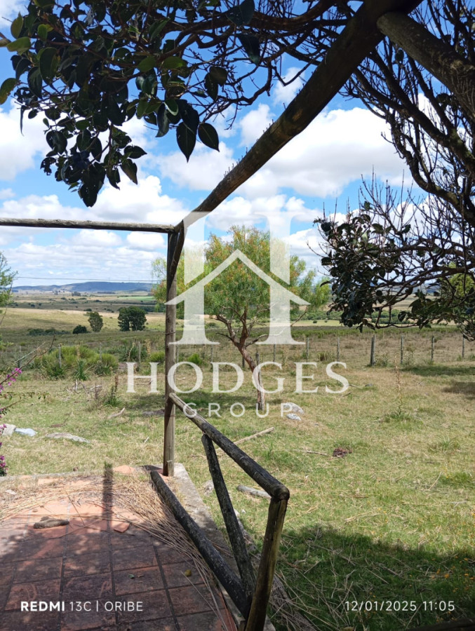 Campo Ref.155 - Chacra de 28 hectáreas Paso Dutra