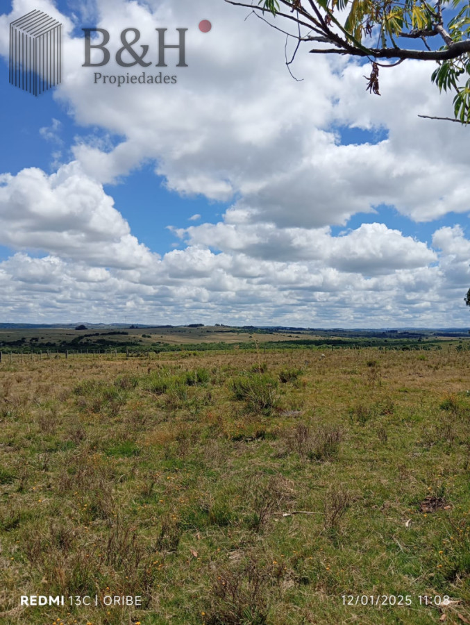 Campo Ref.6496 - Chacra de 28 hectáreas Paso Dutra