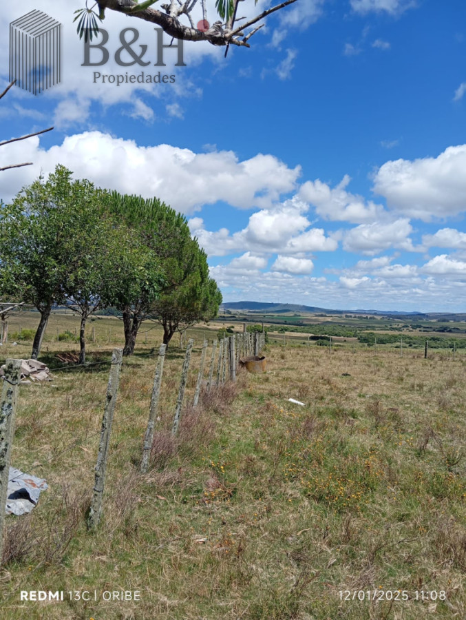 Campo Ref.6496 - Chacra de 28 hectáreas Paso Dutra