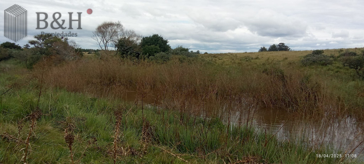 Campo Ref.7758 - Oportunidad de campo en Garzon 
