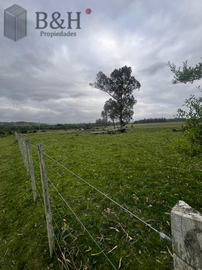 Campo Ref.6498 - Campo 110 hectáreas en Aiguá