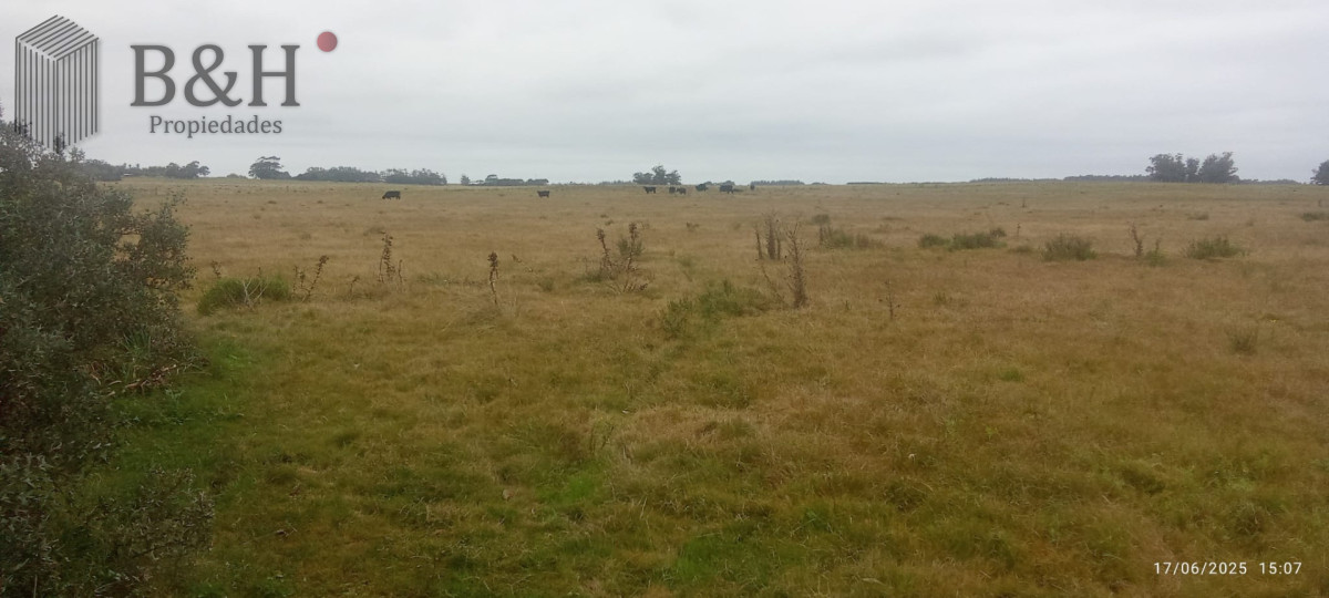 Campo Ref.7758 - Oportunidad de campo en Garzon 