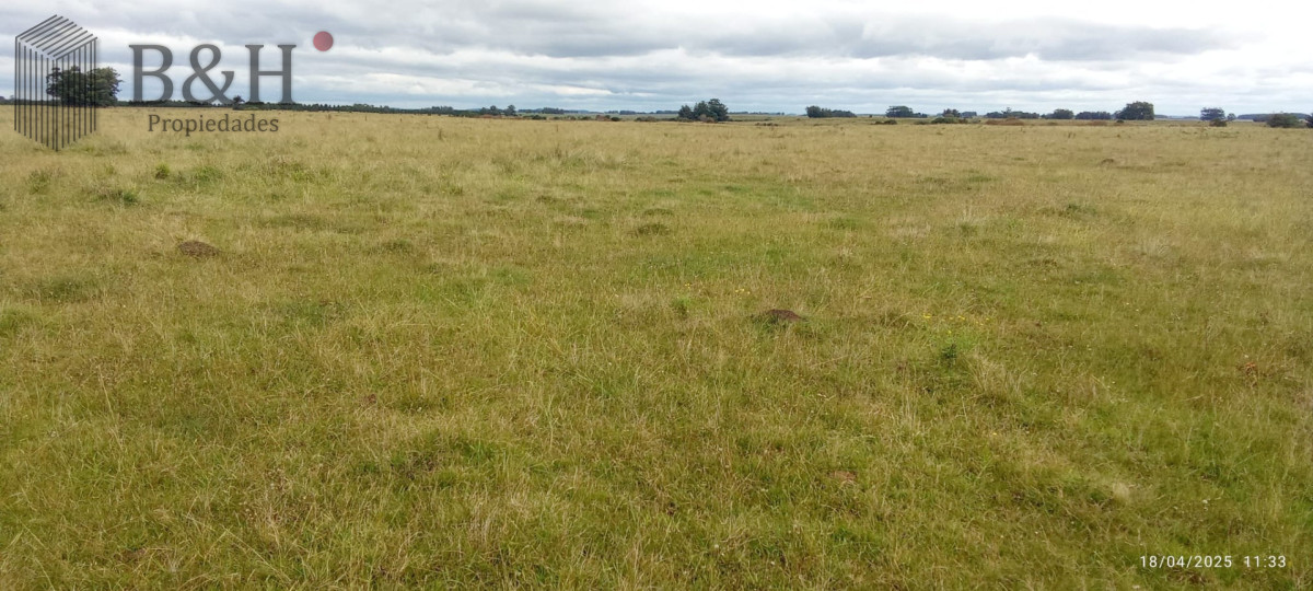 Campo Ref.7758 - Oportunidad de campo en Garzon 