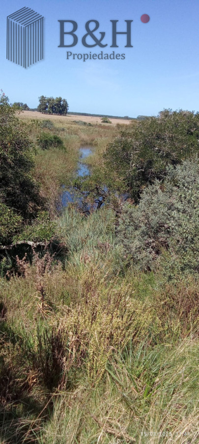 Campo Ref.7758 - Oportunidad de campo en Garzon 