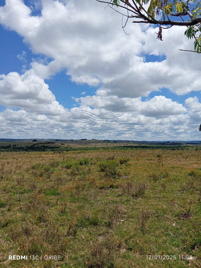 Campo Ref.477 - Chacra de 28 hectáreas Paso Dutra