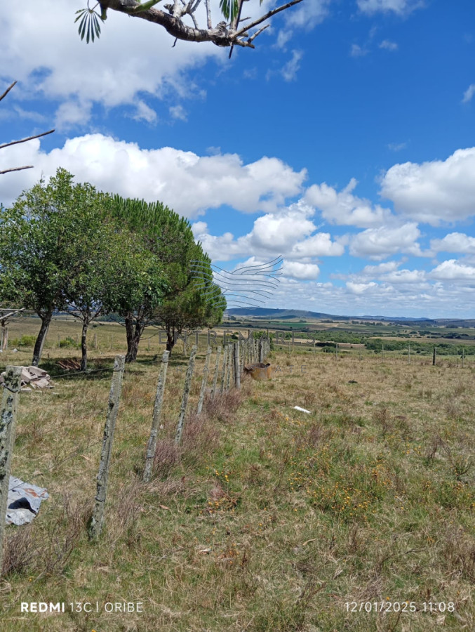 Campo Ref.477 - Chacra de 28 hectáreas Paso Dutra