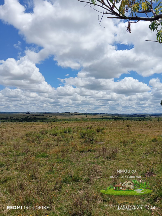Campo Ref.2932 - Chacra de 28 hectáreas Paso Dutra