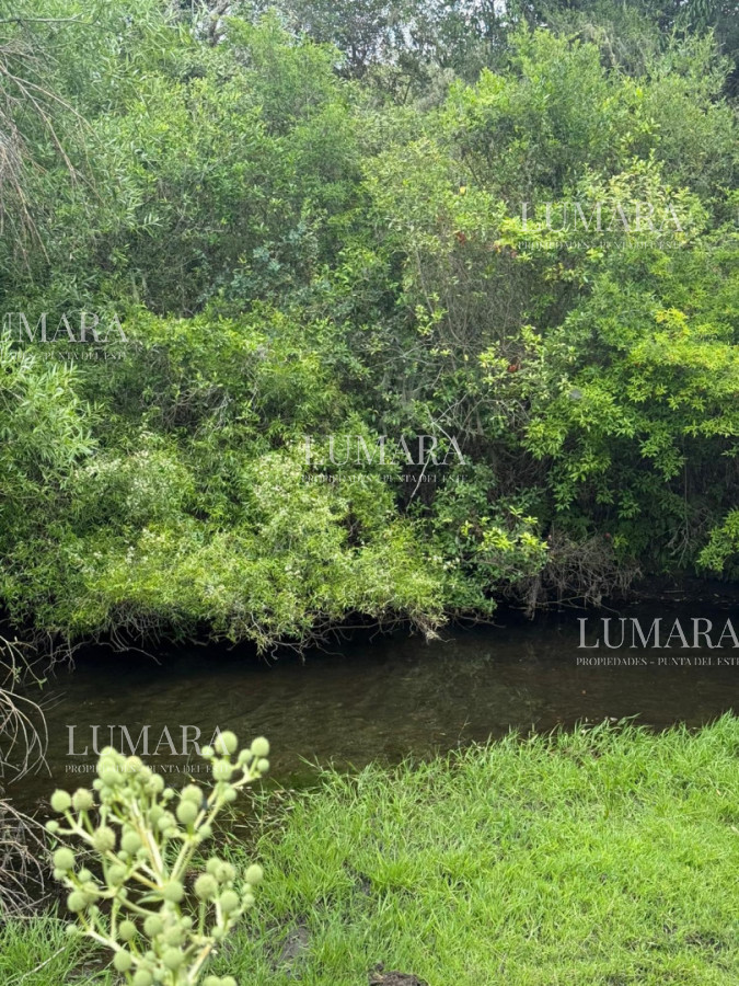 Chacra ID.2967 - Insuperable!!!  chacra 33 hás con  costa al arroyo Aiguá