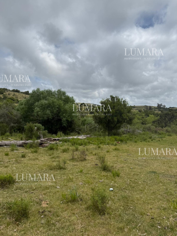 Chacra ID.2967 - Insuperable!!!  chacra 33 hás con  costa al arroyo Aiguá