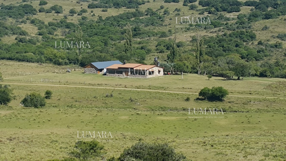 Chacra ID.2967 - Insuperable!!!  chacra 33 hás con  costa al arroyo Aiguá