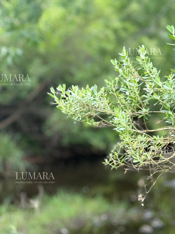 Chacra ID.2967 - Insuperable!!!  chacra 33 hás con  costa al arroyo Aiguá