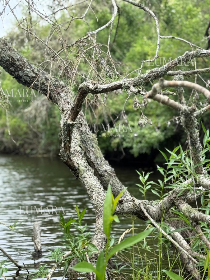 Chacra ID.2967 - Insuperable!!!  chacra 33 hás con  costa al arroyo Aiguá