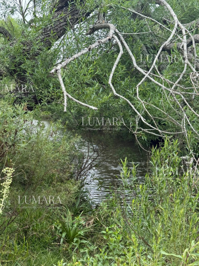 Chacra ID.2967 - Insuperable!!!  chacra 33 hás con  costa al arroyo Aiguá