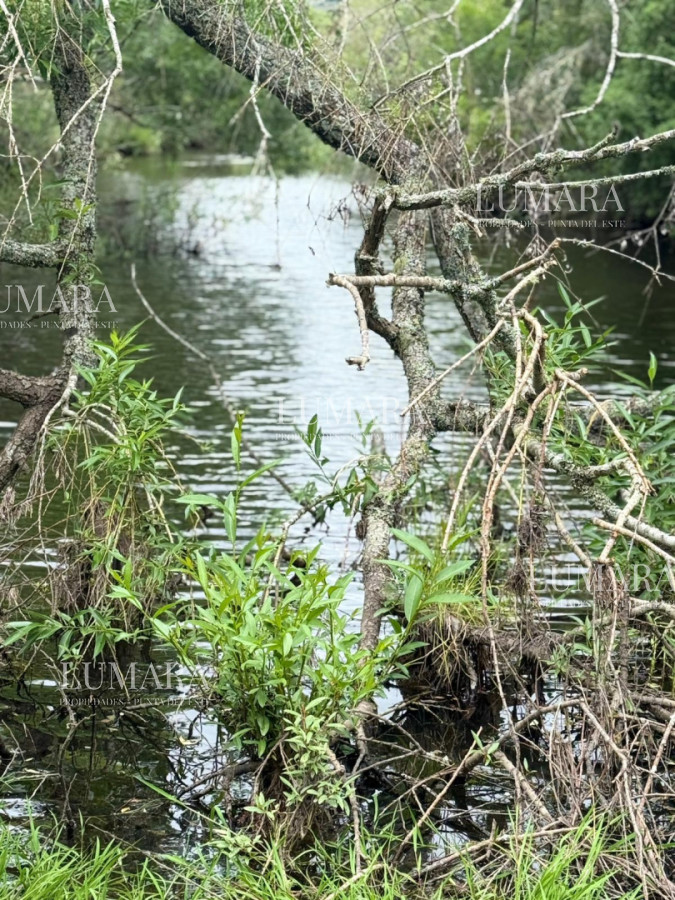 Chacra ID.2967 - Insuperable!!!  chacra 33 hás con  costa al arroyo Aiguá