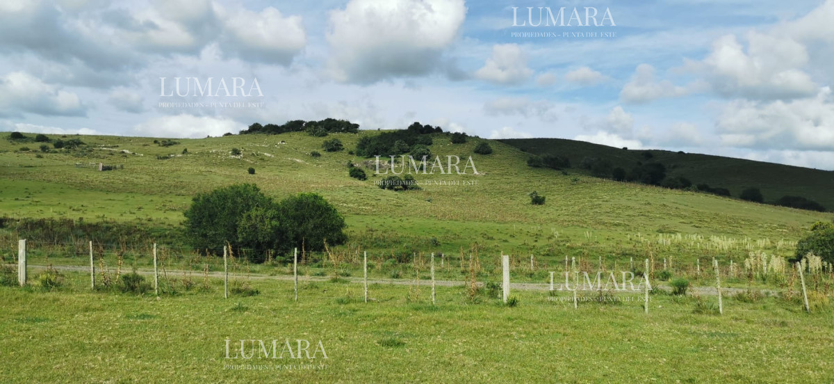 Chacra ID.2967 - Insuperable!!!  chacra 33 hás con  costa al arroyo Aiguá