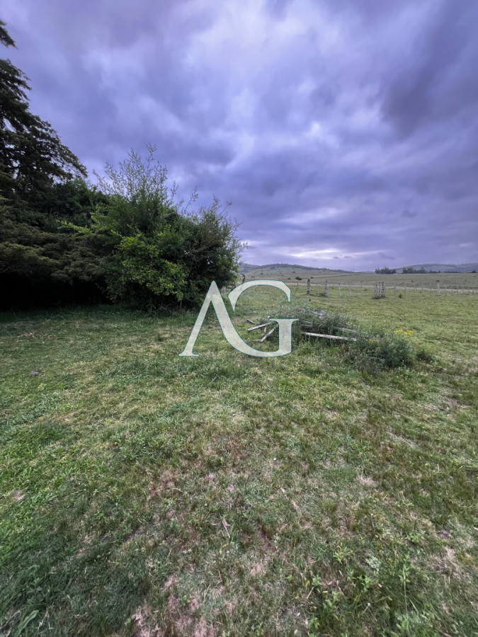 Campo Ref.333 - Campo 110 hectáreas en Aiguá