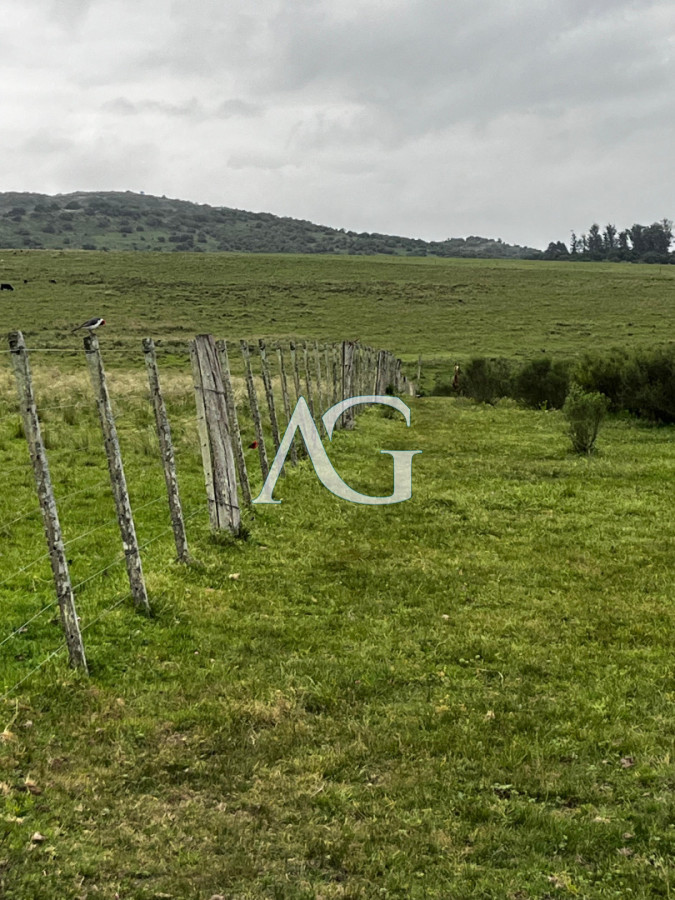 Campo Ref.333 - Campo 110 hectáreas en Aiguá