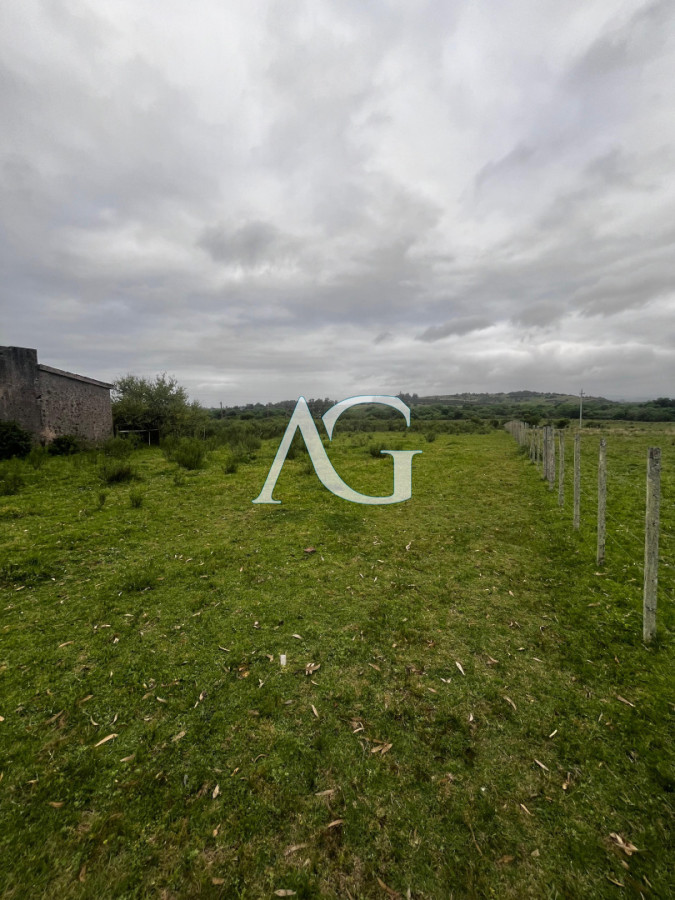 Campo Ref.333 - Campo 110 hectáreas en Aiguá