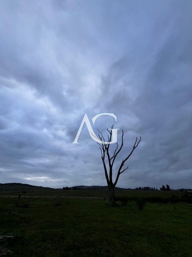 Campo Ref.333 - Campo 110 hectáreas en Aiguá