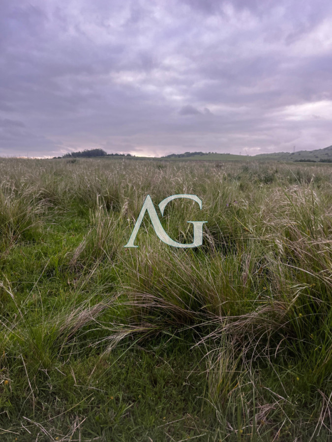 Campo Ref.333 - Campo 110 hectáreas en Aiguá