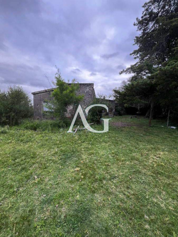 Campo Ref.333 - Campo 110 hectáreas en Aiguá