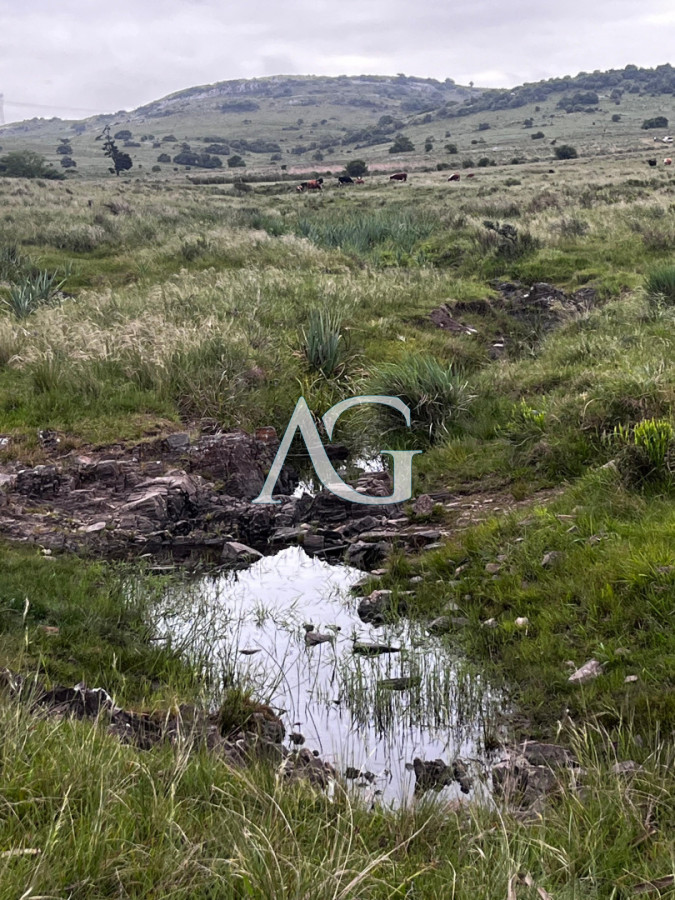Campo Ref.333 - Campo 110 hectáreas en Aiguá