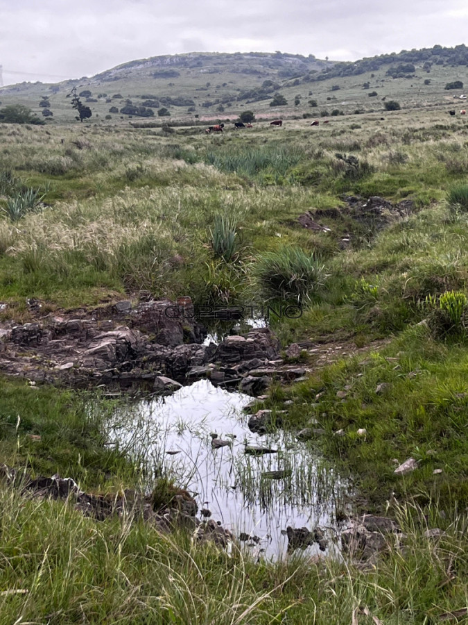 Campo en Aiguá, — foto 9