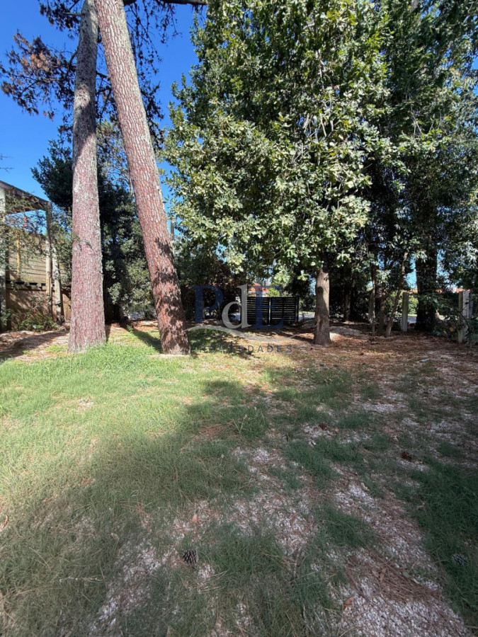Se alquila anual , hermosa casa en San Rafael  - Imagen 1