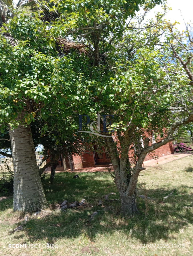 Campo agrícola-ganadero en venta en Paso Dutra. San Carlos. Maldonado - Imagen 6