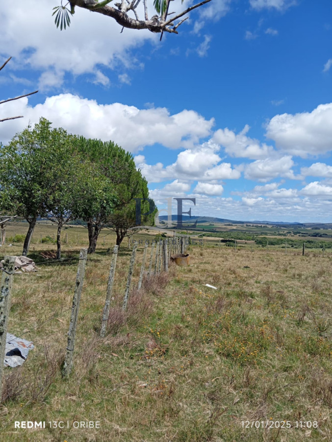 Campo agrícola-ganadero en venta en Paso Dutra. San Carlos. Maldonado - Imagen 7
