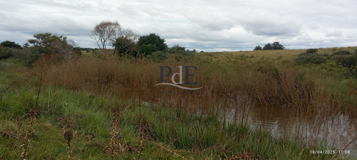 Fracción de campo en venta | Garzón, Maldonado - Imagen 13