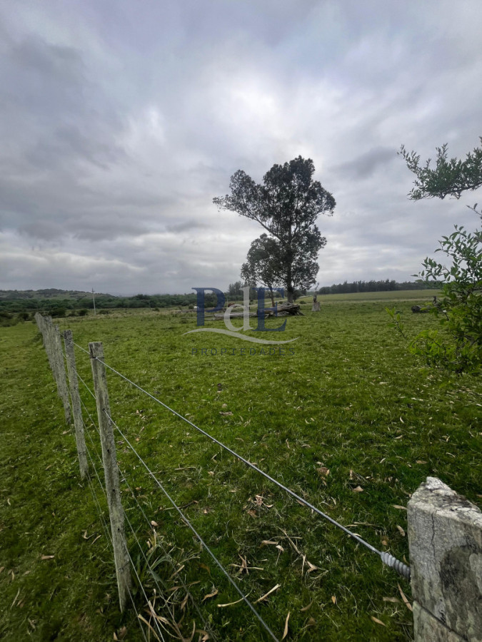 Campo 110 hectáreas en Aiguá | Maldonado
