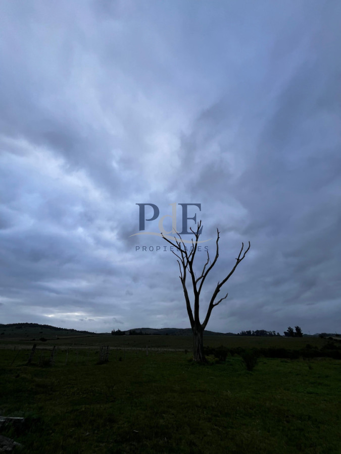 Campo 110 hectáreas en Aiguá | Maldonado - Imagen 6