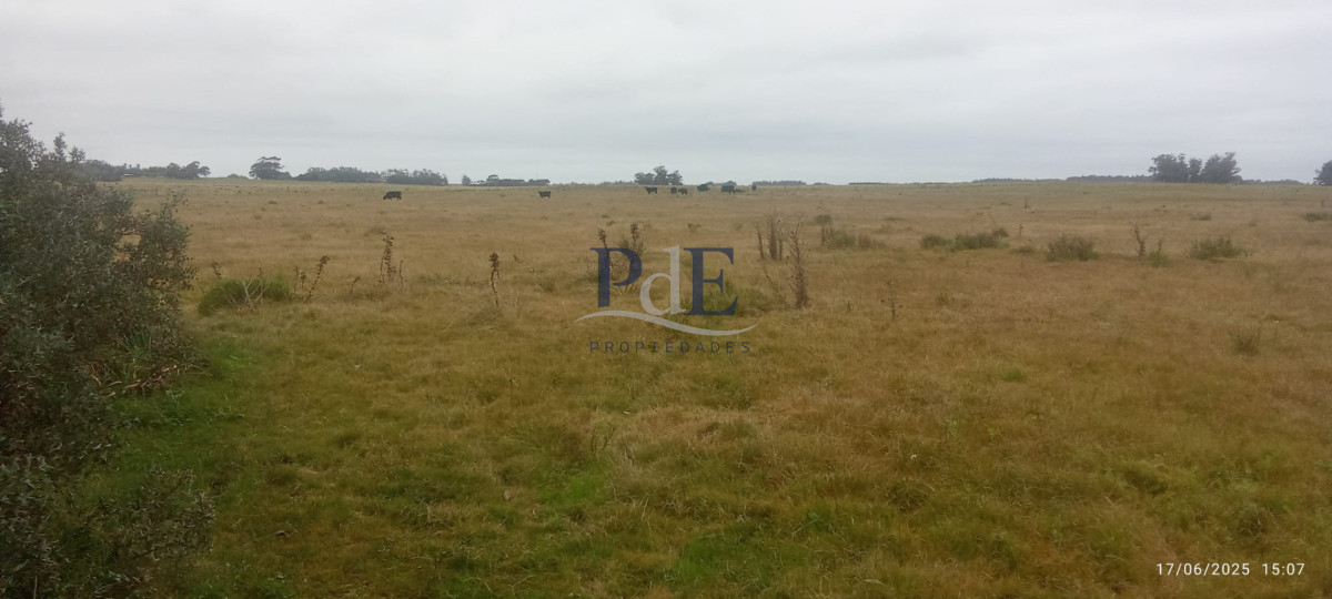Fracción de campo en venta | Garzón, Maldonado - Imagen 12