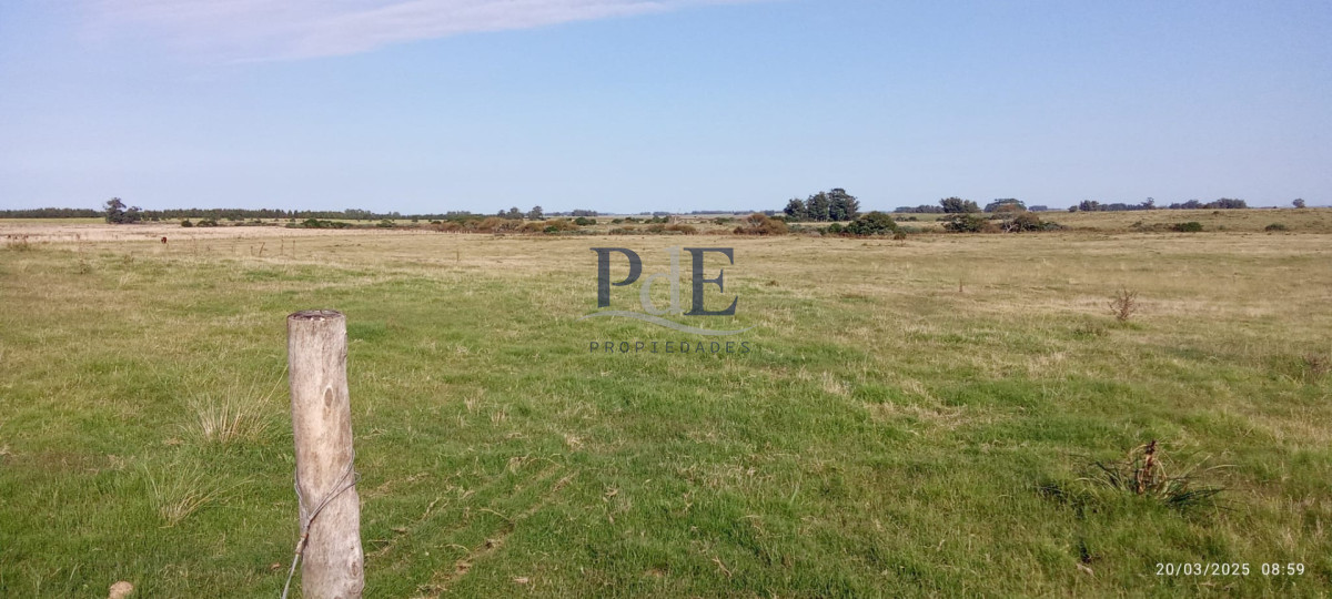 Fracción de campo en venta | Garzón, Maldonado - Imagen 15