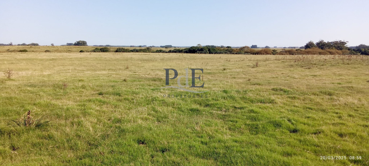 Fracción de campo en venta | Garzón, Maldonado - Imagen 4