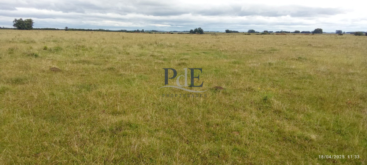 Fracción de campo en venta | Garzón, Maldonado - Imagen 14