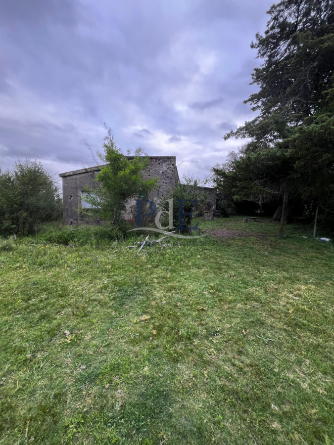 Campo 110 hectáreas en Aiguá | Maldonado - Imagen 3