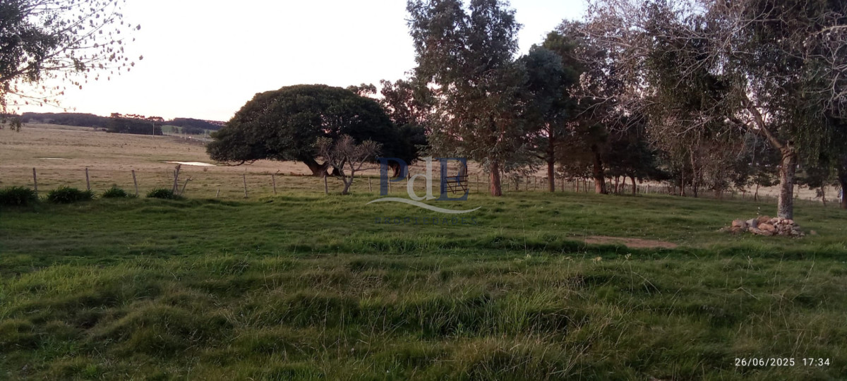 Fracción de campo en venta | Garzón, Maldonado - Imagen 3