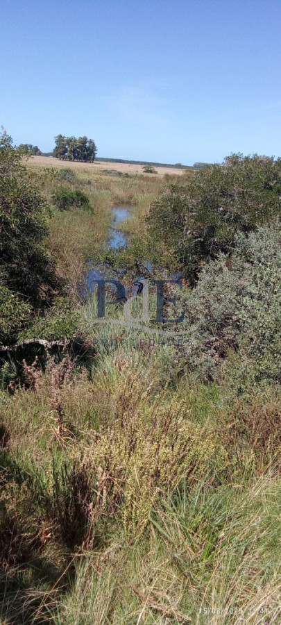 Fracción de campo en venta | Garzón, Maldonado - Imagen 6