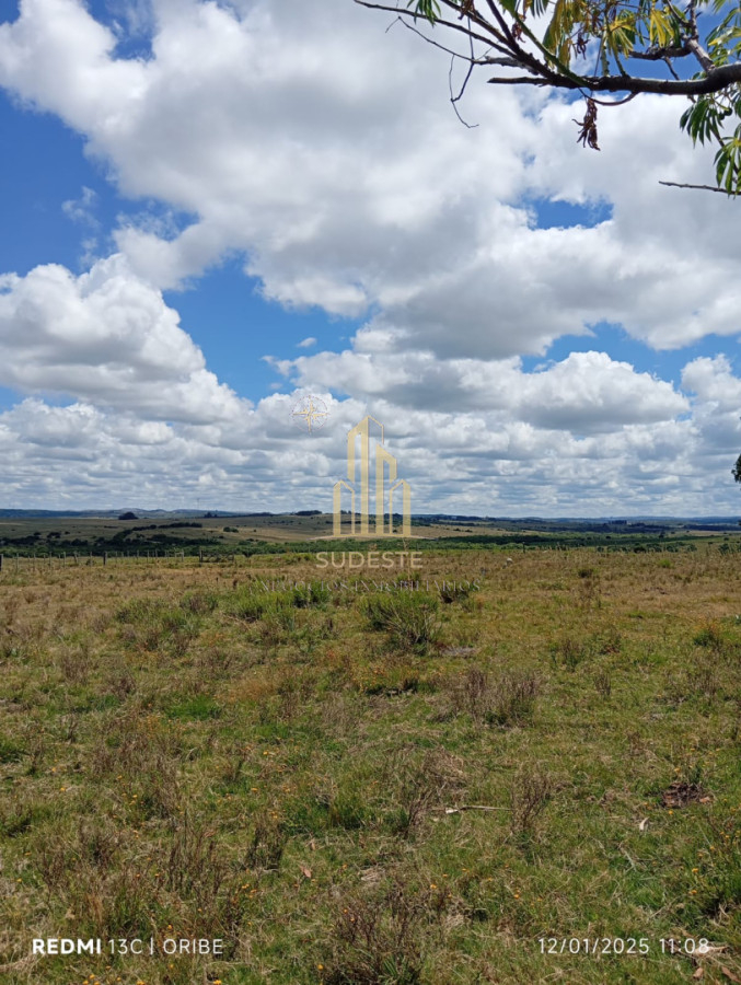Campo Ref.97 - Chacra de 28 hectáreas con Casa en Paso Dutra - Maldonado